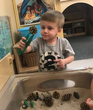 child with pine cone